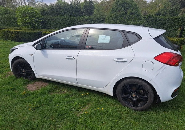Kia Ceed cena 37000 przebieg: 166000, rok produkcji 2015 z Kalisz małe 29
